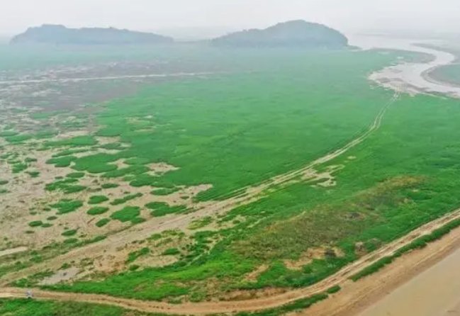 鄱阳湖1月间“缩水”近7成，河床变“草原”当地人开车飞驰，水都去哪了？