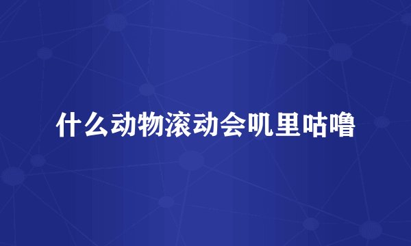 什么动物滚动会叽里咕噜