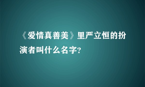 《爱情真善美》里严立恒的扮演者叫什么名字？