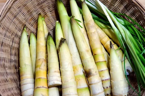 猜一猜菜肴中的玉兰片是什么东西做的