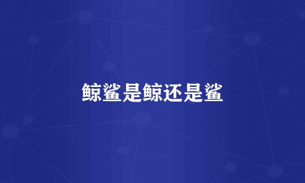 鲸鲨是鲸还是鲨