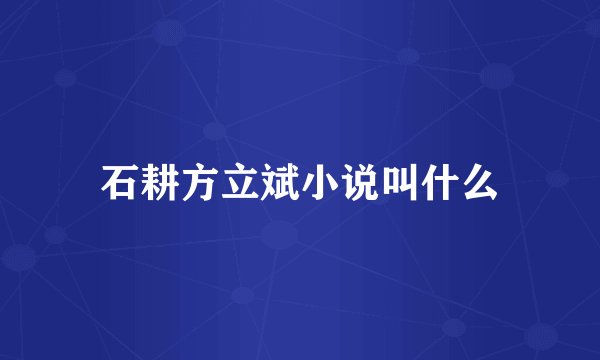 石耕方立斌小说叫什么