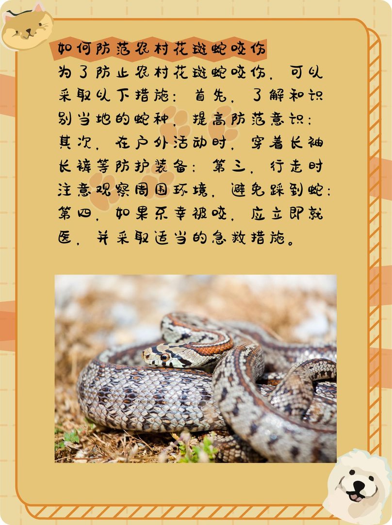 农村花斑蛇有毒吗？