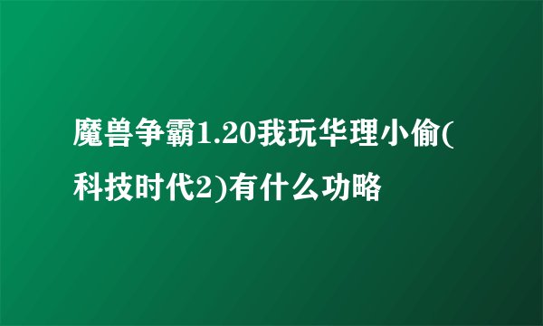魔兽争霸1.20我玩华理小偷(科技时代2)有什么功略