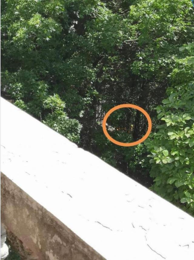 4600万买别墅，突然发现外面有坟头后打官司，很忌讳吗？