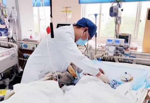 没有子女！独居教授因热射病晕倒家中，这会是我们不生孩子的真实写照吗？