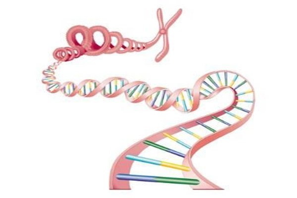 完整人类基因组首次被破译，研究人员到底破译出了什么？