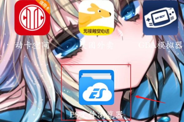 手机的sd卡的根目录在哪？