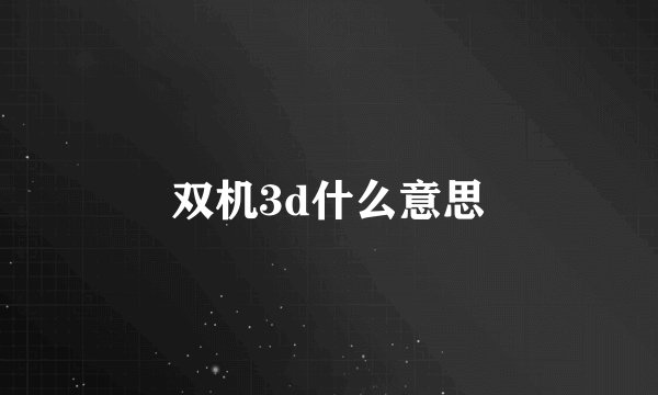 双机3d什么意思