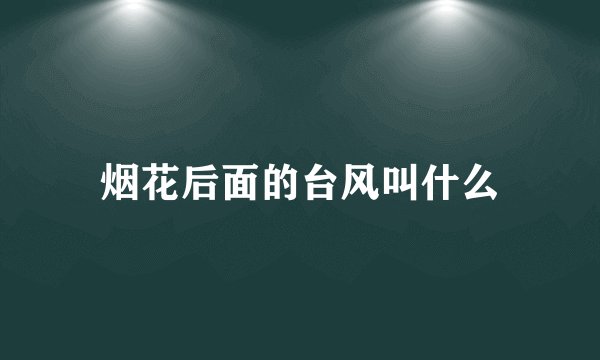 烟花后面的台风叫什么