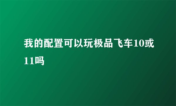 我的配置可以玩极品飞车10或11吗