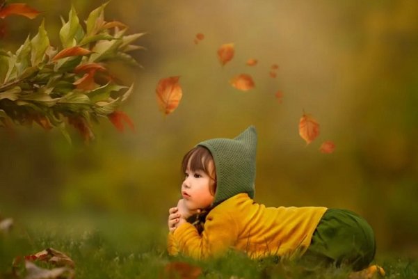 目光所至皆是你下一句