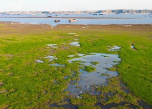 鄱阳湖1月间“缩水”近7成，河床变“草原”当地人开车飞驰，水都去哪了？