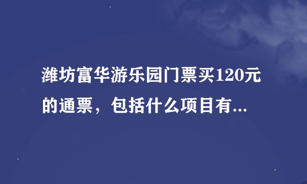 潍坊富华游乐园门票买120元的通票，包括什么项目有摩天论吗？？