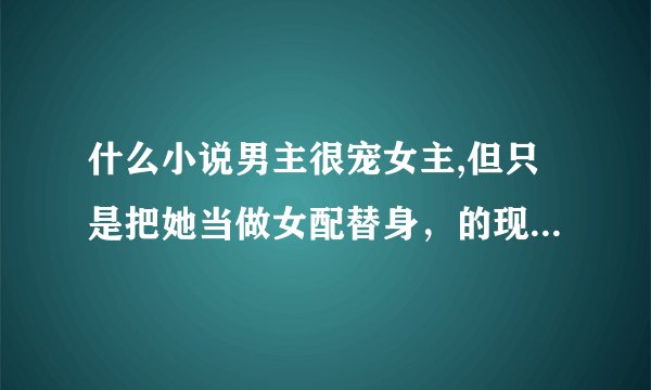 什么小说男主很宠女主,但只是把她当做女配替身，的现代文！！！