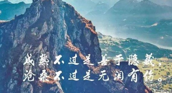 未曾清贫难做人，不经打击永天真。成熟不过是善于隐藏；沧桑不过是无泪有伤。这几句话得意？？