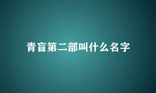 青盲第二部叫什么名字