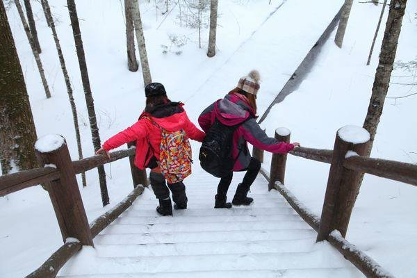 辽宁一楼房漏水楼道被冰封变冰帘洞,给业主们的出行带来了哪些不便?