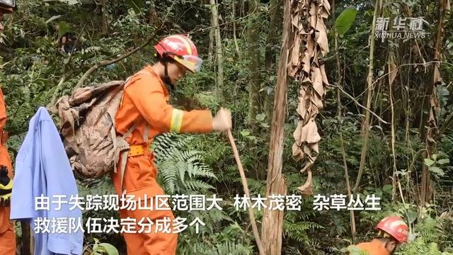 广西一女孩上山采药失踪3天，最终是如何获救的？