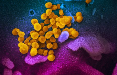 北京“服装店传播链”已有16人感染,新冠病毒在织物表面存活时间有多长?