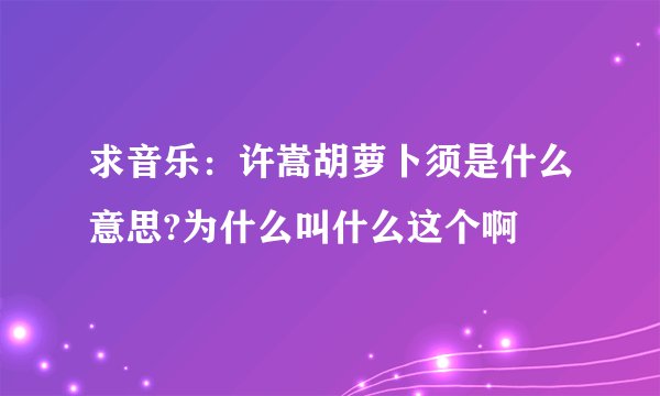 求音乐：许嵩胡萝卜须是什么意思?为什么叫什么这个啊
