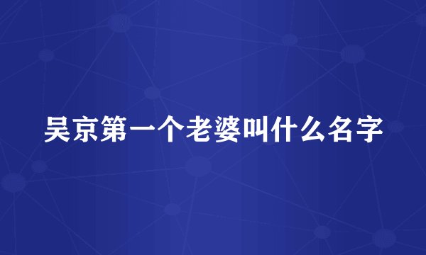 吴京第一个老婆叫什么名字