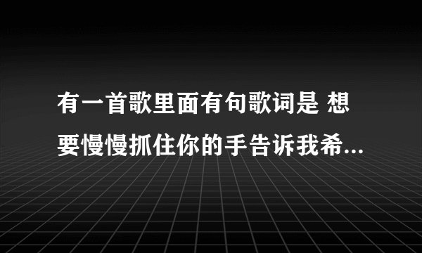 有一首歌里面有句歌词是 想要慢慢抓住你的手告诉我希望还会有 是什么歌
