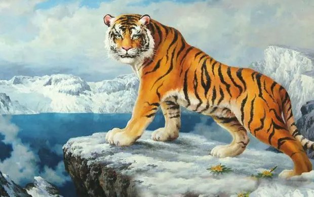 一束阳光金灿灿什么生肖呢