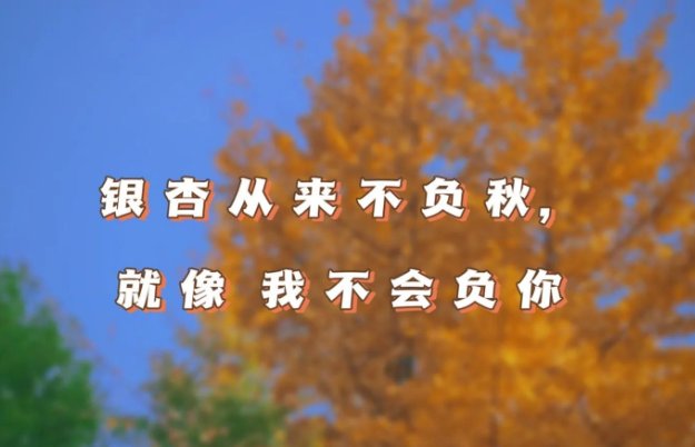 你喜欢银杏吗是什么梗？