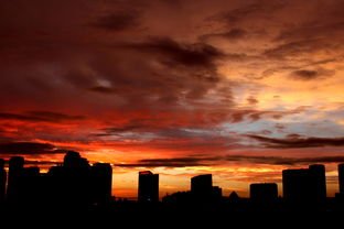上海现弧状积雨云，你见过最恐怖的云有哪些？