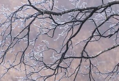 2022霜降节气是哪一天