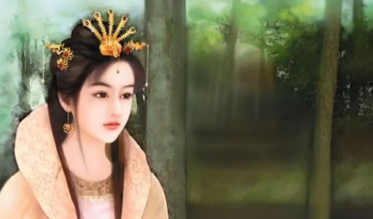 张傲雪什么梗？,