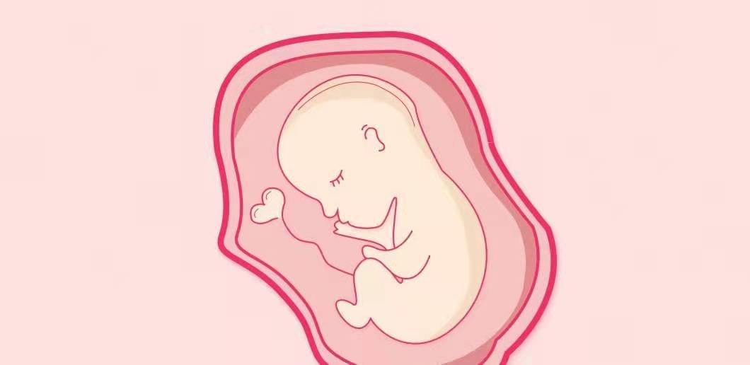 非洲马里一位妈妈生下了9胞胎，生9胞胎的概率有多渺小？