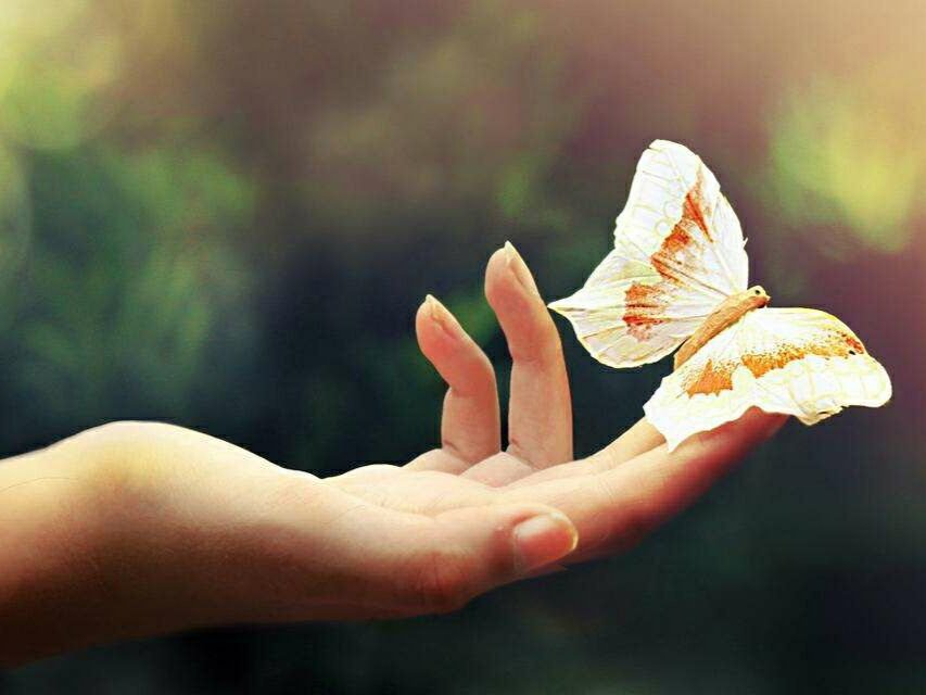 2022年一辈子不换的微信网名