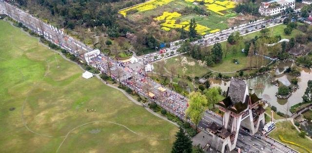 蛇与蛇互吃是怎么回事？