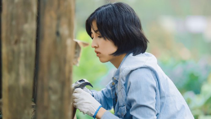 张子枫15岁写的影评，惊艳众人，其文笔有多细腻？