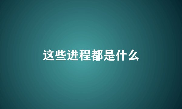 这些进程都是什么