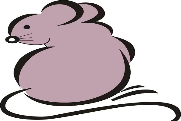 小桥流水打一动物生肖