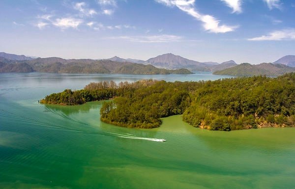 老舍为什么要跳河?