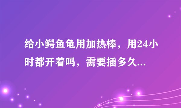 给小鳄鱼龟用加热棒，用24小时都开着吗，需要插多久知道的告下，详细些，谢谢啊