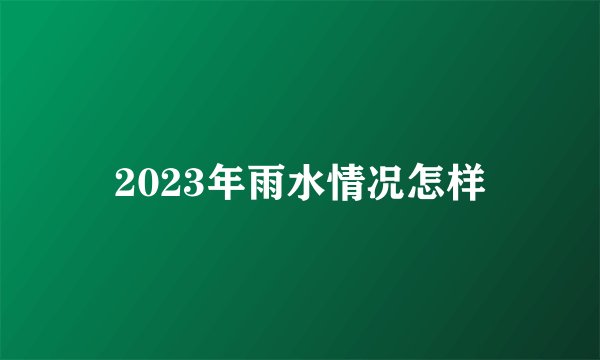 2023年雨水情况怎样