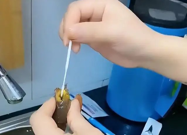 上海一女子给小龙虾做抗原检测，疫情下我们的吃食该如何做好防疫工作？