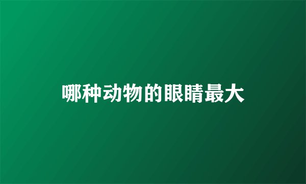 哪种动物的眼睛最大