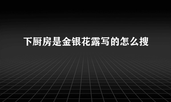 下厨房是金银花露写的怎么搜