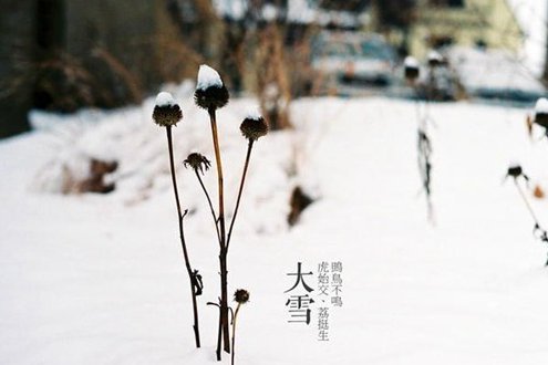 大雪是下雪量最大的节气吗？
