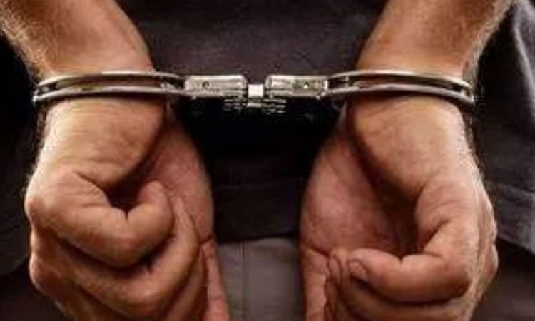 宜宾一女子被25岁儿子杀害藏尸家中，最终是如何被警方发现的？