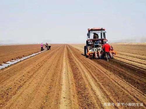 应种尽种，一亩地也不撂荒，疫情给农业生产带来了哪些挑战？