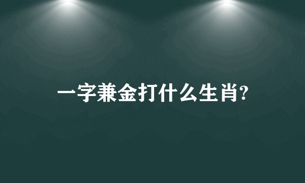 一字兼金打什么生肖?