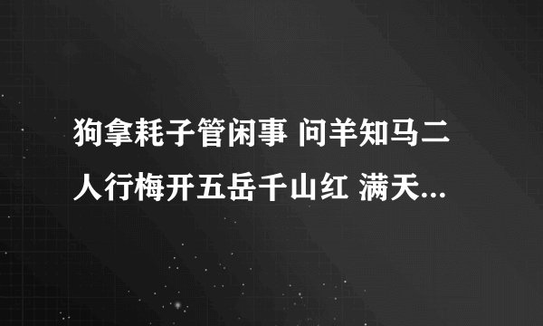 狗拿耗子管闲事 问羊知马二人行梅开五岳千山红 满天星星一盏灯猜生肖
