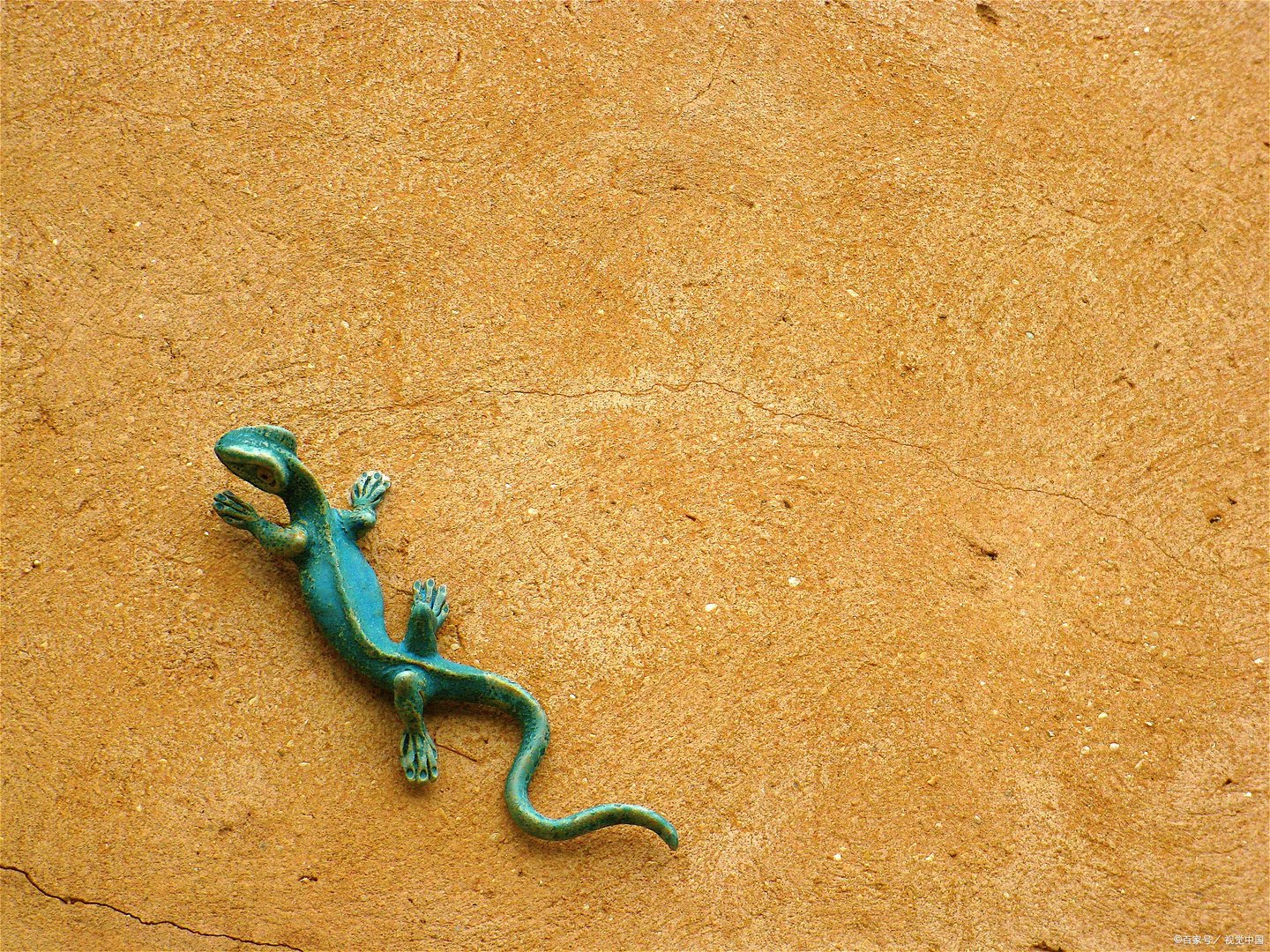 眼睛容不得任何东西触碰,为何壁虎能用舌头舔眼睛?